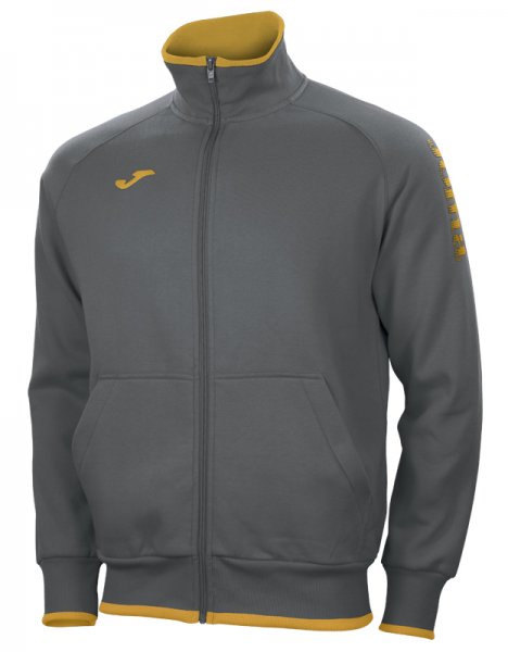 SWEATSHIRT STREET COMBI GREY-GOLD