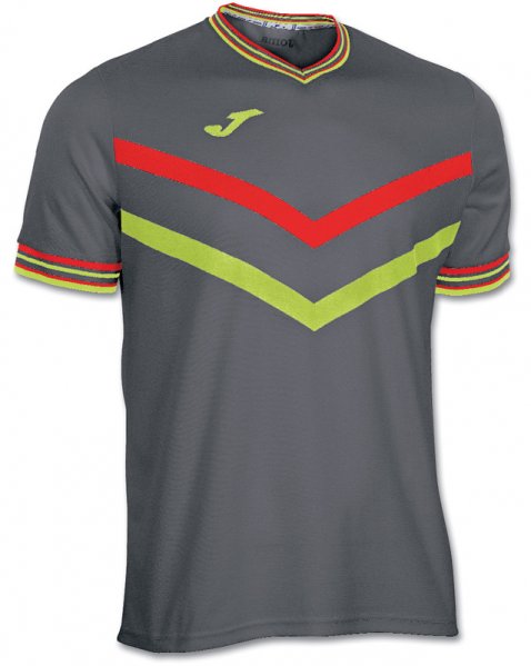 T-SHIRT TERRA GREY-GREEN S/S