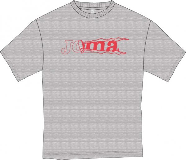 T-SHIRT GREY S/S