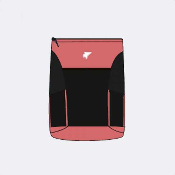 EXPLORER V BACKPACK PINK