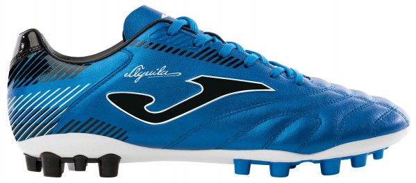 AGUILA 2004 BLUE ARTIFICIAL GRASS