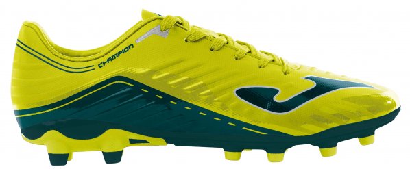 CHAMPION 2011 FLUOR FIRM GROUND