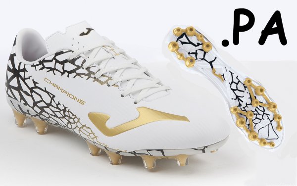 CHAMPION 502 WHITE-GOLD MULT.STUDS