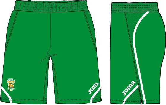KARPATY GREEN AWAY SHORTS