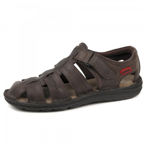 S.OPORTO 824 BROWN
