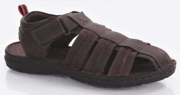 S.PALMA 424 BROWN