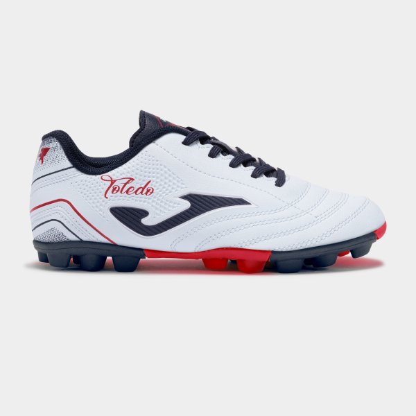 TOLEDO JR 2505 BLUE HARD GROUND