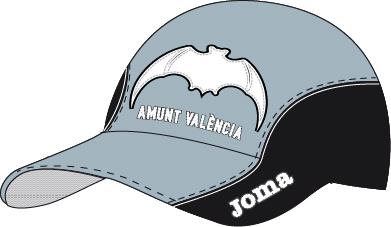 VALENCIA CAP GREY